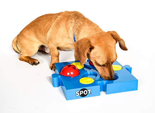 SPOT by Ethical Products Interaktives Seek-A-Treat Flip 'N' Slide Hundespielzeug-Puzzle | Hundeleckerli-Belohnungsspielzeug Steckpuzzle verbessert den IQ Ihres Hundes | Speziell für das Training von von SPOT