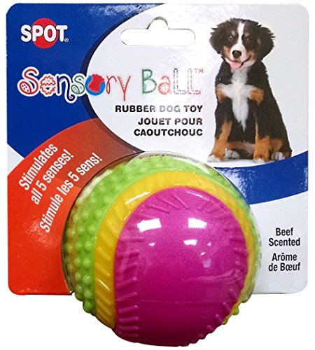 ethischen Sensory Ball Hund Spielzeug von SPOT