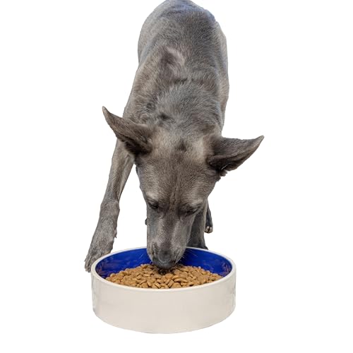 Ethical Spot Keramik-Napf aus Steingut, für mittelgroße und große Hunde, klassisch, robust, rutschfest, Keramiknapf für Futter und Wasser, 24,1 cm Durchmesser Ethical Spot Keramik-Napf aus Steingut, für mittelgroße und große Hunde, klassisch, robust, rutschfest, Keramiknapf für Futter und Wasser, 24,1 cm Durchmesser von SPOT