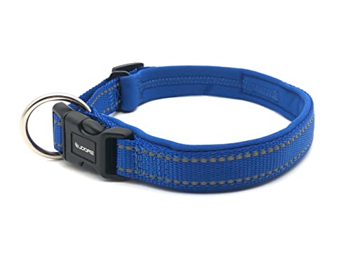 Eudore blaues Hundehalsband reflektierend, hochwertig und komfortabel in verschiedenen Größen (L (45-60cm)) von Eudore