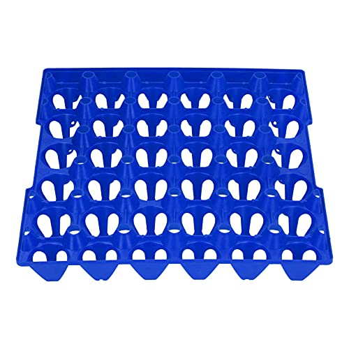 Eujgoov 30 Zellplastikzeigerkisten Halterschale, Geräumige Eierspeicherung, Stapelbares Design, Wiederverwendbar und Stabil, aus Kunststoff, Sichern, Bis zu 30 Eier, Vielseitiger Gebrauch, Zum (Blue) Eujgoov 30 Zellplastikzeigerkisten Halterschale, Geräumige Eierspeicherung, Stapelbares Design, Wiederverwendbar und Stabil, aus Kunststoff, Sichern, Bis zu 30 Eier, Vielseitiger Gebrauch, Zum (Blue) von Eujgoov