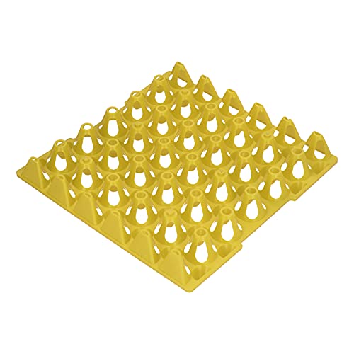 Eujgoov 30 Zellplastikzeigerkisten Halterschale, Geräumige Eierspeicherung, Stapelbares Design, Wiederverwendbar und Stabil, aus Kunststoff, Sichern, Bis zu 30 Eier, Vielseitiger Gebrauch, Zum von Eujgoov