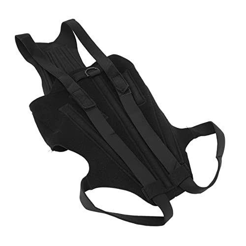 Eujgoov Hunde -Rückenschmerz -Bracer mit Hochwertigem Polyester, Starker Starrheit und Flexibilität, IVDD -Erleichterung für das Gehen, Verletzungsunterstützung. Anwendbarkeit Als Medizinische (L) von Eujgoov