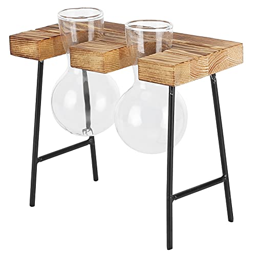 Glas-Pflanzgefäß, Tischvase, Pflanzenvase, Tischvase, Glühbirne, Holzständer, Glühbirne, Glasvase, Hydrokultur-Pflanzgefäß für Zuhause, Büro, Garten (Zwei Flaschen + Bank) von Eujgoov