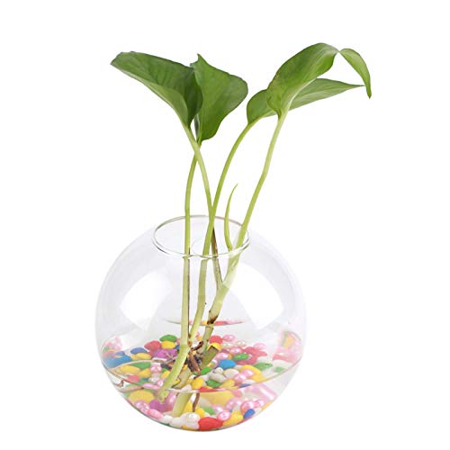 Transparente Glasvase, Hängende Glasvase, Hängende Glasvase, Pflanzgefäß, Glas-Hängedekoration für Aquarium Bepflanzt (Halbe Runde) von Eujgoov