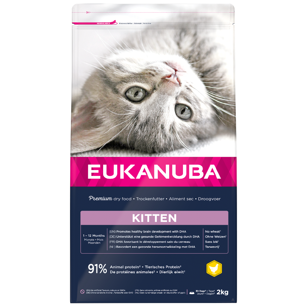 2 kg Eukanuba zum Sonderpreis! - Kitten Healthy Start von Eukanuba