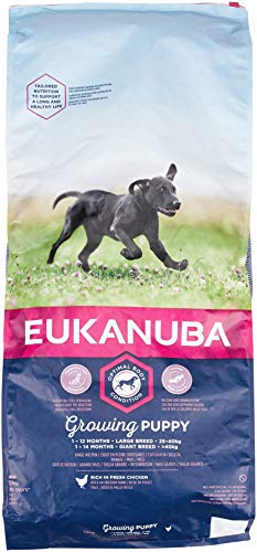 Eukanuba Welpenhundefutter für große Hunde, reich an frischem Hühn, 12 kg von Eukanuba