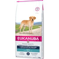 Eukanuba Adult Breed Specific Labrador Retriever - 2 x 12 kg von Eukanuba