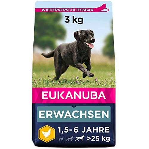 Eukanuba Hundefutter mit frischem Huhn für große Rassen, Premium Trockenfutter für ausgewachsene Hunde, 3 kg von Eukanuba