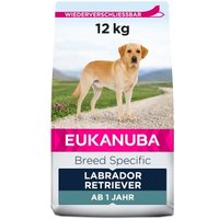 EUKANUBA Breed Specific Labrador Retriever 12 kg von EUKANUBA