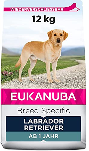 Eukanuba Breed Specific Labrador Retriever Trockenfutter - optimal auf die Rasse abgestimmtes Premium Hundefutter mit Huhn, 12 kg von Eukanuba