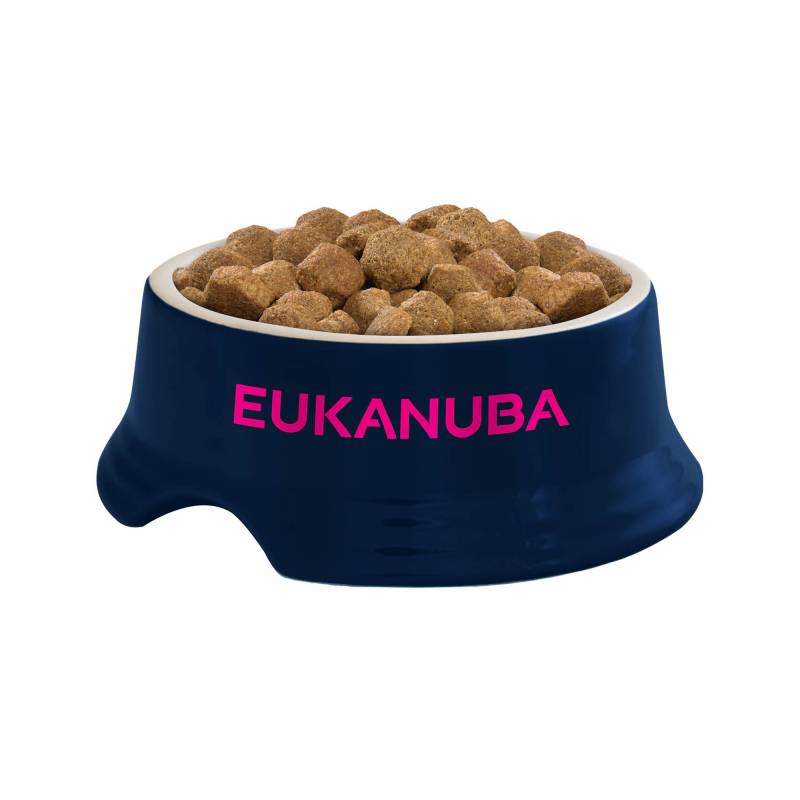 Eukanuba Developing Junior Large Breed Hundefutter - 3 kg von Eukanuba