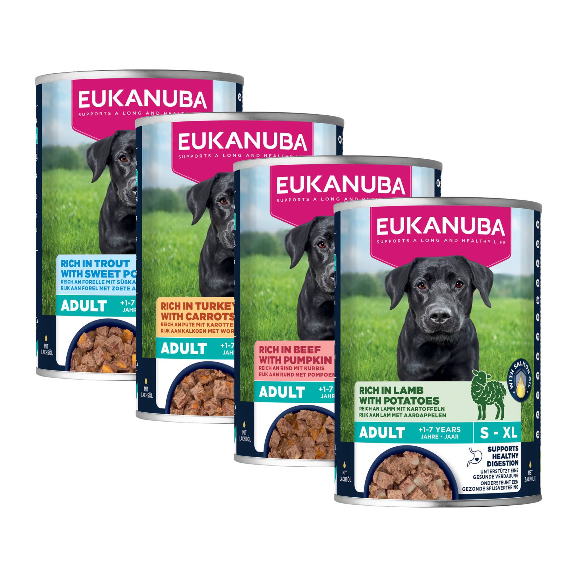 Eukanuba Dog Adult - Nassfutter - Rindfleisch & Kürbis - 6 x 400 g von Eukanuba