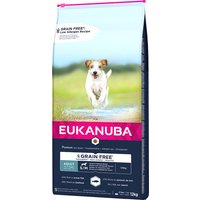 Eukanuba Grain Free Adult Small / Medium Breed mit Lachs - 2 x 12 kg von Eukanuba