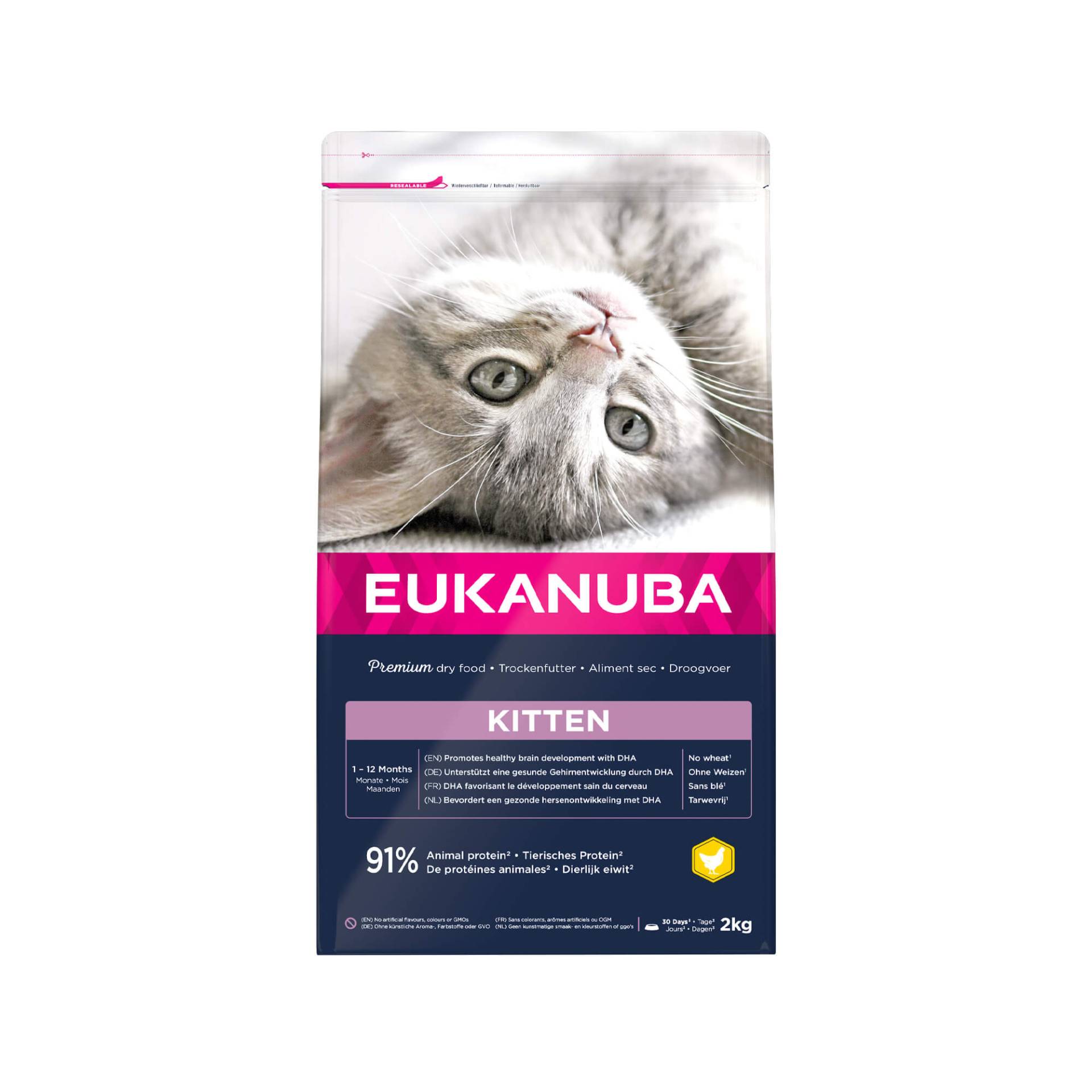 Eukanuba Healthy Start Kittenfutter - 2 kg von Eukanuba