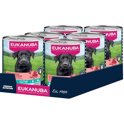 Eukanuba Hundefutter Nass mit Rind und Kürbis, Getreidefreies Premium Nassfutter für ausgewachsene Hunde, 6 x 400 g Dosen von Eukanuba