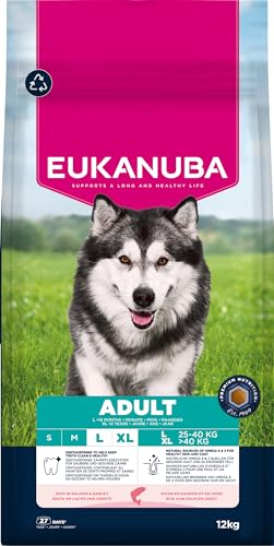 Eukanuba Hundefutter Trocken mit Lachs und Gerste für große Rassen - Premium Trockenfutter für ausgewachsene Hunde, 12 kg von Eukanuba