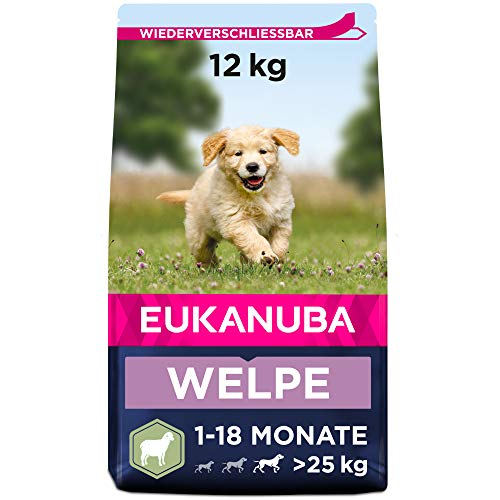 Eukanuba Welpenfutter mit Lamm & Reis für große Rassen - Trockenfutter für Junior Hunde, 12 kg von Eukanuba