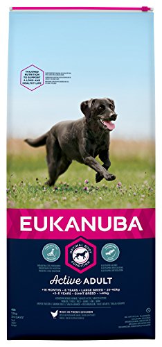 Eukanuba Hundefutter für große Hunde, reich an frischem Huhn von Eukanuba