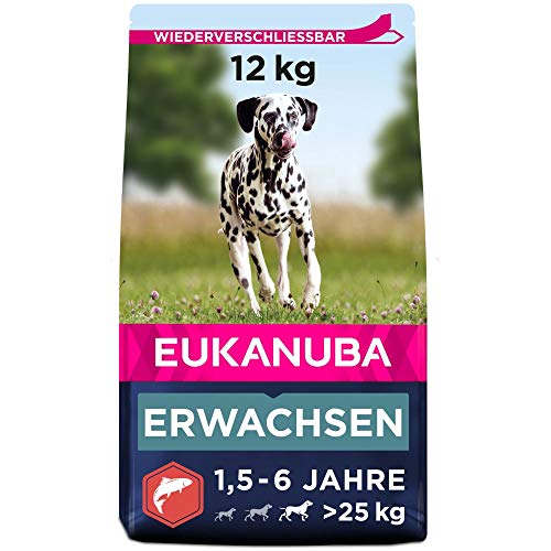 Eukanuba Hundefutter mit Lachs & Gerste für große Rassen - Trockenfutter für ausgewachsene Hunde, 12 kg von Eukanuba