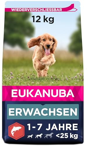 Eukanuba Hundefutter mit Lachs & Gerste für kleine und mittelgroße Rassen - Trockenfutter für ausgewachsene Hunde, 12 kg von Eukanuba