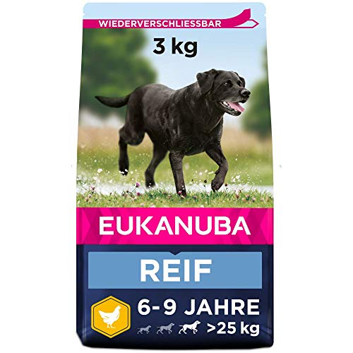 Eukanuba Hundefutter mit frischem Huhn für große Rassen, Premium Trockenfutter für reife Hunde, 3 kg von Eukanuba