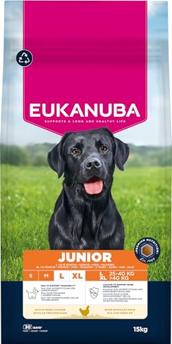 Eukanuba Junior Hundefutter Trocken mit frischem Huhn für große Rassen, Premium Trockenfutter für heranwachsende Hunde, 15 kg Eukanuba Junior Hundefutter Trocken mit frischem Huhn für große Rassen, Premium Trockenfutter für heranwachsende Hunde, 15 kg von Eukanuba