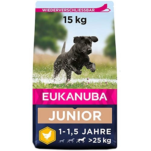 Eukanuba Hundefutter mit frischem Huhn für große Rassen, Premium Trockenfutter für Junior Hunde, 15 kg von Eukanuba