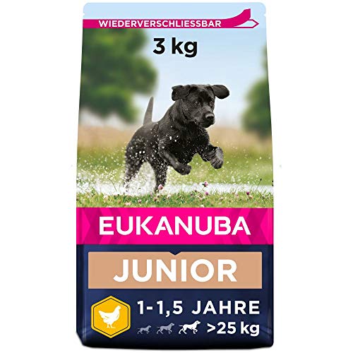 Eukanuba Hundefutter mit frischem Huhn für große Rassen, Premium Trockenfutter für Junior Hunde, 3 kg von Eukanuba
