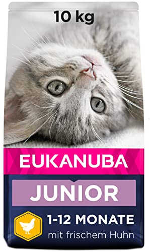Eukanuba Junior Katzenfutter trocken - Premium Trockenfutter für Kitten von 1-12 Monate, fördert gesundes Wachstum, hoher Fleischanteil, 10 kg von Eukanuba