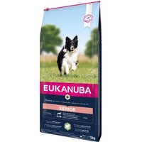 EUKANUBA Trockenfutter Hund Small & Medium Breed Senior, Lamm & Reis 12 kg von EUKANUBA