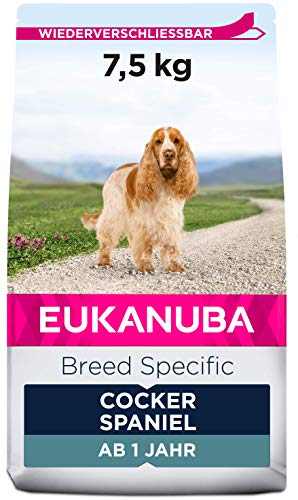 Eukanuba Breed Specific Cocker Spaniel Trockenfutter - optimal auf die Rasse abgestimmtes Premium Hundefutter mit Huhn, 7,5 kg von Eukanuba