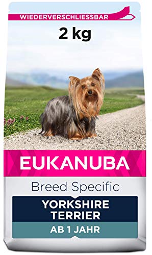 Eukanuba Breed Specific Yorkshire Terrier Trockenfutter - optimal auf die Rasse abgestimmtes Premium Hundefutter mit Huhn, 2 kg von Eukanuba