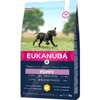 Eukanuba Puppy Large Breed Huhn - 3 kg von Eukanuba