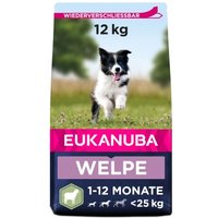 EUKANUBA Puppy Small & Medium Breed Lamm & Reis 12kg von EUKANUBA