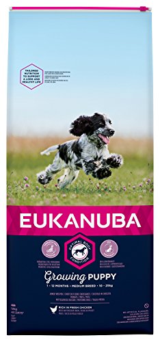 Eukanuba Puppy Welpenfutter für mittelgroße Rassen – Ausgewogenes Trockenfutter mit verbesserter, neuer Rezeptur für Welpen im Alter von 1-12 Monaten in der Geschmacksrichtung Huhn – 1 x 12kg Beutel Eukanuba Puppy Welpenfutter für mittelgroße Rassen – Ausgewogenes Trockenfutter mit verbesserter, neuer Rezeptur für Welpen im Alter von 1-12 Monaten in der Geschmacksrichtung Huhn – 1 x 12kg Beutel von Eukanuba