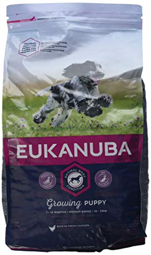 Eukanuba Trockenfutter für Welpen, mittelgroß, 3 kg, 3 Stück von Eukanuba