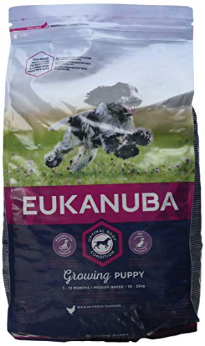 Eukanuba Trockenfutter für Welpen, mittelgroß, 3 kg, 3 Stück von EUKANUBA