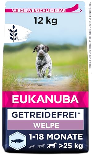 Eukanuba Welpenfutter getreidefrei mit Fisch für große Rassen - Trockenfutter ohne Getreide für Junior Hunde, 12 kg von Eukanuba