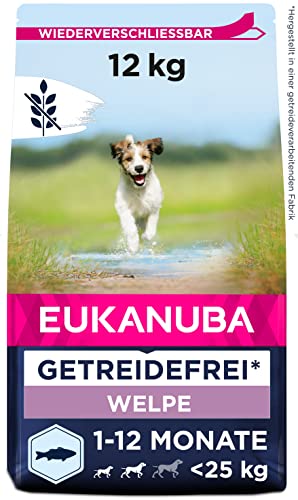 Eukanuba Welpenfutter getreidefrei mit Fisch für kleine und mittelgroße Rassen - Trockenfutter ohne Getreide für Junior Hunde, 12 kg von Eukanuba