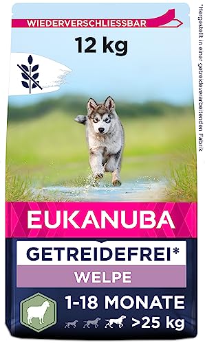 Eukanuba Welpenfutter getreidefrei mit Lamm für große Rassen - Trockenfutter ohne Getreide für Junior Hunde, 12 kg von Eukanuba
