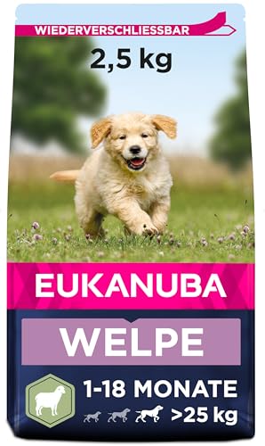 Eukanuba Welpenfutter mit Lamm & Reis für große Rassen - Trockenfutter für Junior Hunde, 2,5 kg von Eukanuba