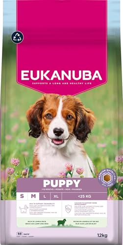 Eukanuba Welpenfutter mit Lamm und Reis für kleine und mittelgroße Rassen - Premium Trockenfutter für Junior Hunde, 12 kg Eukanuba Welpenfutter mit Lamm und Reis für kleine und mittelgroße Rassen - Premium Trockenfutter für Junior Hunde, 12 kg von Eukanuba