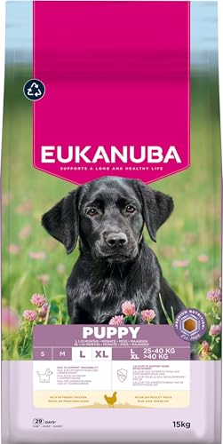 Eukanuba Welpenfutter mit frischem Huhn für große Rassen, Premium Trockenfutter für Junior Hunde, 15 kg Eukanuba Welpenfutter mit frischem Huhn für große Rassen, Premium Trockenfutter für Junior Hunde, 15 kg von Eukanuba