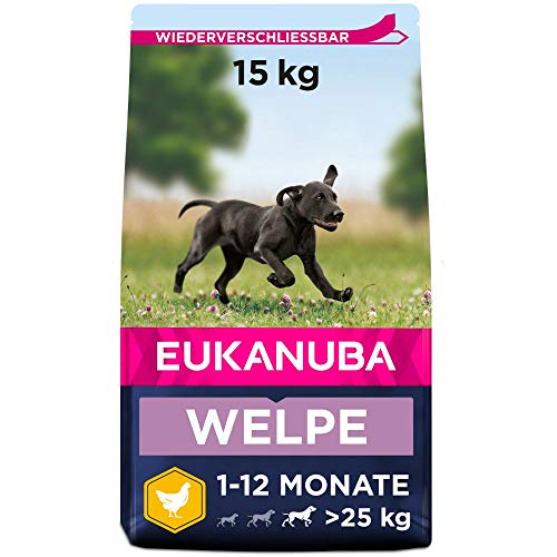 Eukanuba Welpenfutter mit frischem Huhn für große Rassen, Premium Trockenfutter für Welpen, 15 kg von Eukanuba