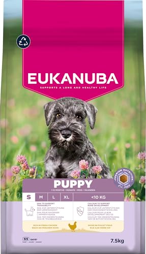 Eukanuba Welpenfutter mit frischem Huhn für kleine Rassen, Premium Trockenfutter für Junior Hunde, 7,5 kg von Eukanuba
