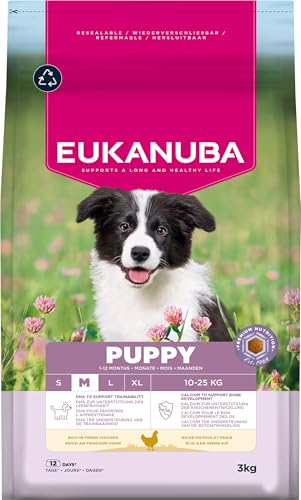 Eukanuba Welpenfutter mit frischem Huhn für mittelgroße Rassen, Premium Trockenfutter für Junior Hunde, 3 kg von Eukanuba