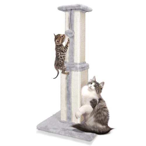Eukue Katzenkratzbaum Großer, Kratzbaum 80 cm mit Haltbaren Kunststoffblättern, Kratzbaum Sisalseil und Stabiler Bodenplatte, Großer Innenkratzbaum für Kätzchen und Erwachsene Katzen Eukue Katzenkratzbaum Großer, Kratzbaum 80 cm mit Haltbaren Kunststoffblättern, Kratzbaum Sisalseil und Stabiler Bodenplatte, Großer Innenkratzbaum für Kätzchen und Erwachsene Katzen von Eukue