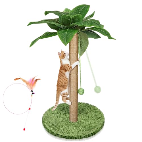 Großer Katzenkratzbaum, Kratzbaum 85 cm mit 11 Haltbaren Kunststoffblättern, Kratzbaum Sisalseil und Stabiler Bodenplatte, Großer Innenkratzbaum für Kätzchen und Erwachsene Katzen Großer Katzenkratzbaum, Kratzbaum 85 cm mit 11 Haltbaren Kunststoffblättern, Kratzbaum Sisalseil und Stabiler Bodenplatte, Großer Innenkratzbaum für Kätzchen und Erwachsene Katzen von Eukue