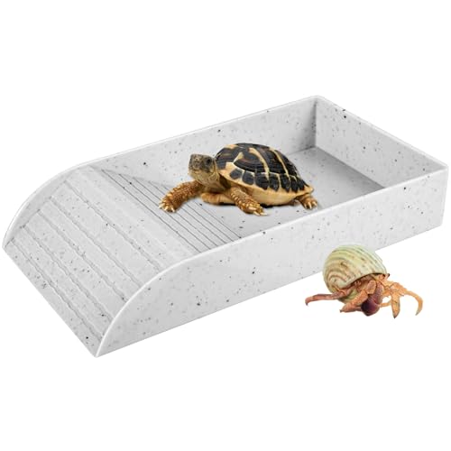 Eummy Wasserschale für Schildkröten, rutschfest, für Reptilien, Pool, Schüssel mit Rampe, Reptilien-Futterbox, Schale, Kunststoff, für Schildkröte, Futter- und Wassernapf, Schildkrötenzubehör zum von Eummy